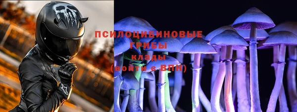 меф Пересвет