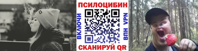 hydra маркетплейс Стрежевой Галлюциногенные грибы мицелий
