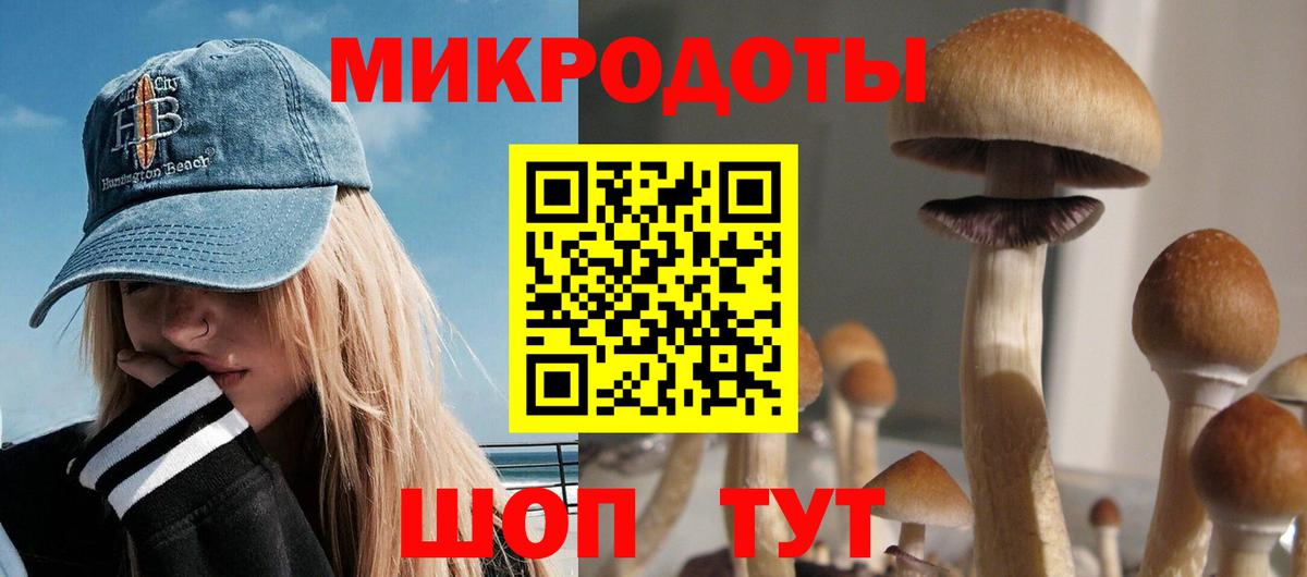 Стрежевой  Псилоцибиновые грибы Psilocybe  Вход с VPN  как найти   Галлюциногенные грибы ЛСД 