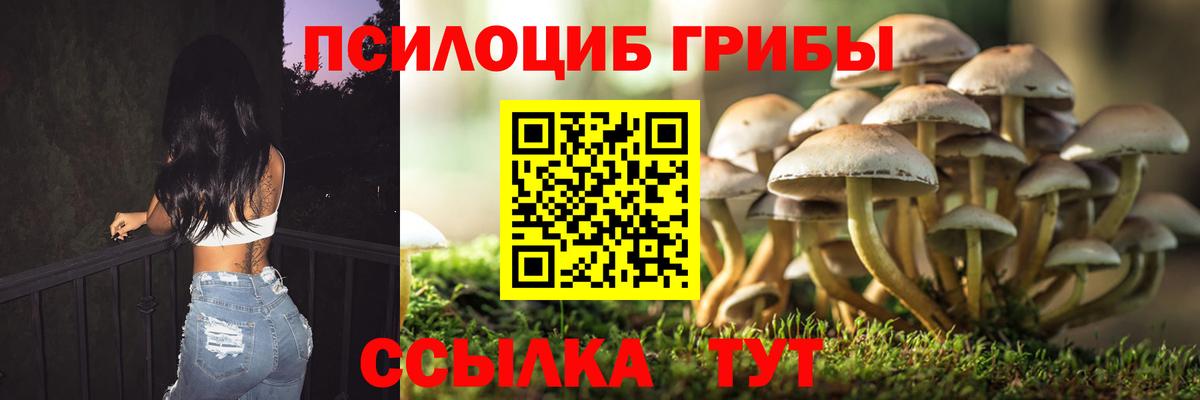 Галлюциногенные грибы Cubensis Стрежевой