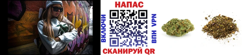 Бошки Шишки конопля  Стрежевой 