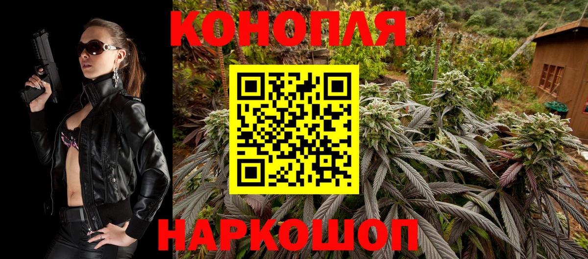 Конопля планчик  Вход с VPN  Стрежевой  Шишки марихуана план 